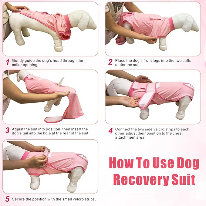 Idepet Dog Recovery Suit Female,Dogs Onesie Suit Surgery Male Breathable Pet Bodysuit for Spay Neuter E-Collar & Cone Alternative Surgical Suit Puppy Abdominal Anti Licking Wounds Shirt (Blue, L)
