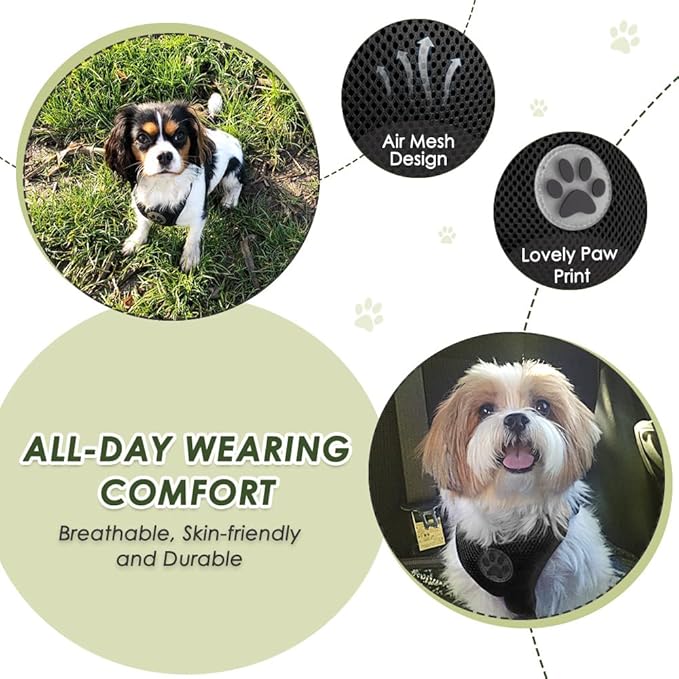 Lukovee Dog Seat Belt - Adjustable Dog Car Harness for Large, Medium & Small Dogs, Soft Padded & Breathable Mesh Dog Seatbelt with Car Vehicle Connector Strap (Black, XX-Small)