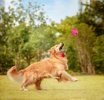 AUSCAT Pitaya Treat Dispensing Dog Toy – Rubber Puzzle Toy for Aggressive Chewers