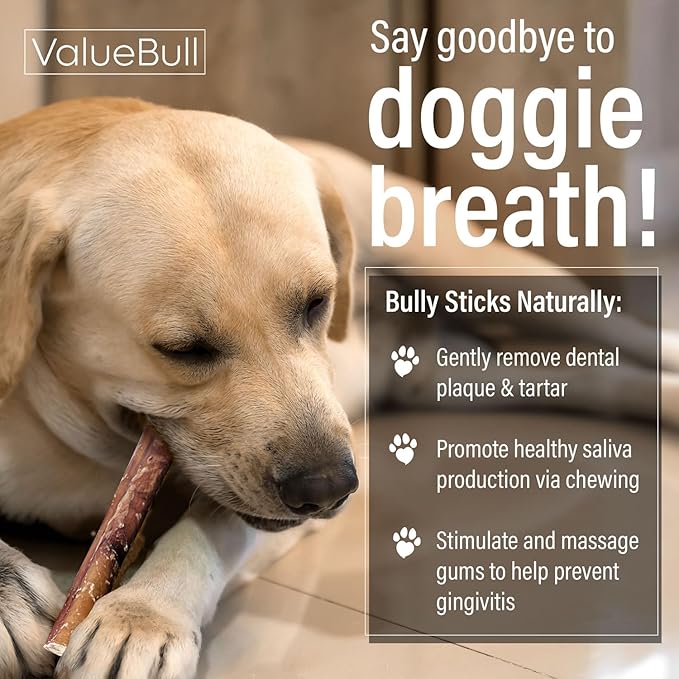 ValueBull Bully Sticks for Dogs, Thick 6 Inch, 10 Count - All Natural, Grass Fed, Single Ingredient, Long Lasting Dog Treats