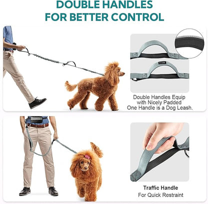 Hands Free Dog Leash with Pouch,Double Leash for Two Dogs
