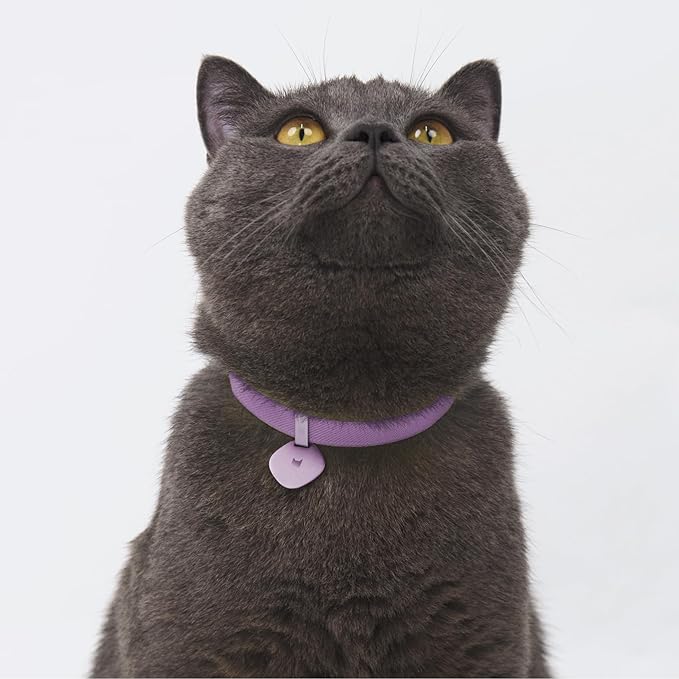 Safety Cat Collar and ID Tag Set - Elastic Quick Release, Non Breakaway Cat Collar Personalized Anodized Aluminum Engraved Pet Name Tag, Lightweight for Kitten and Small Large Cats