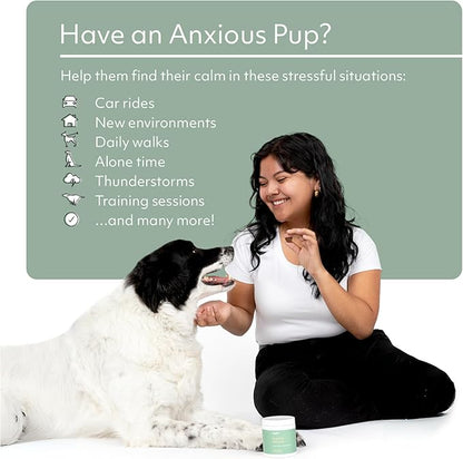 Reggie Anytime Calming Chews for Dogs | Natural Calming Dog Treats to Reduce Hyperactivity, Separation Anxiety, & Stress | Vet-Approved & Ideal for All Ages, Breeds, and Sizes - 60 Soft Chews