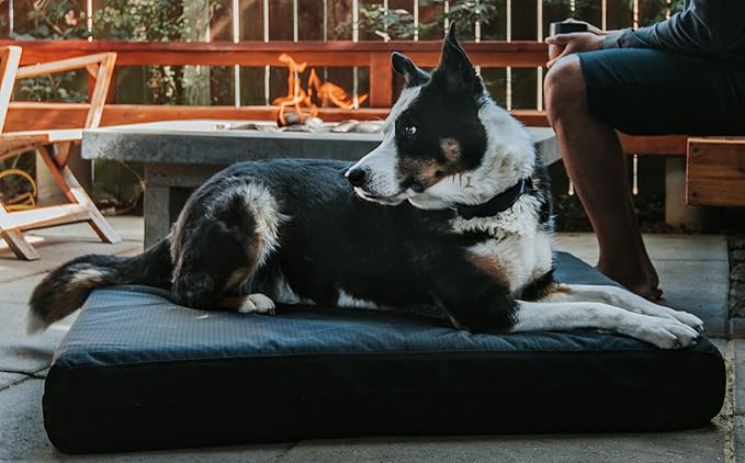K9 Ballistics Tough Rip-Stop Orthopedic Rectangle Dog Bed Removable Washable Cover, Solid Orthopedic Foam for Size S Dogs 24"x18", Blue Quartz