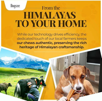 Dogsee Original Himalayan Yak Cheese Dog Chews XL - 6 Chews | Dog Treats Rawhide Free | Fight Plaque & Tartar | All Natural Long Lasting | Odourless and Great for Cleaning Teeth