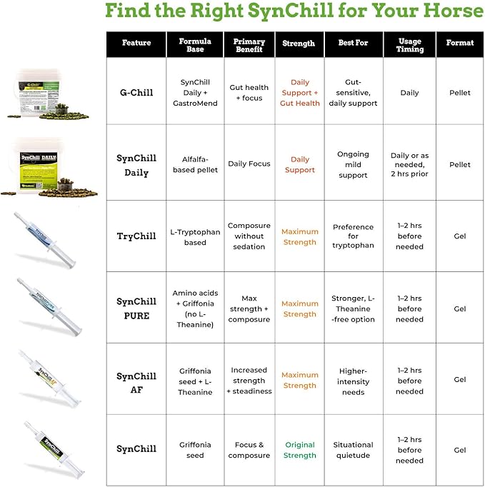 SynChill AF Calming Gel for Nervous Horses - Single Serving - Advanced Formula with L-Theanine, Increased Potency, 100% Natural Supplement, Disposition & Confidence Support for Horses - 12 Pack