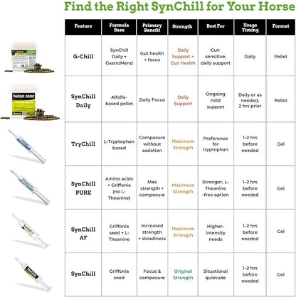SynChill AF Calming Gel for Nervous Horses - Single Serving - Advanced Formula with L-Theanine, Increased Potency, 100% Natural Supplement, Disposition & Confidence Support for Horses - 12 Pack