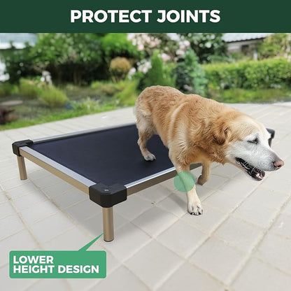FXW TitanNest Chew-Proof Elevated Dog Bed, Raised Cot for Indoor/Outdoor/Camping Use, Durable & Waterproof Cooling Pet Bed for Extra Large Dogs, 56.0" L x 31.0" W x 7.3" H, Black