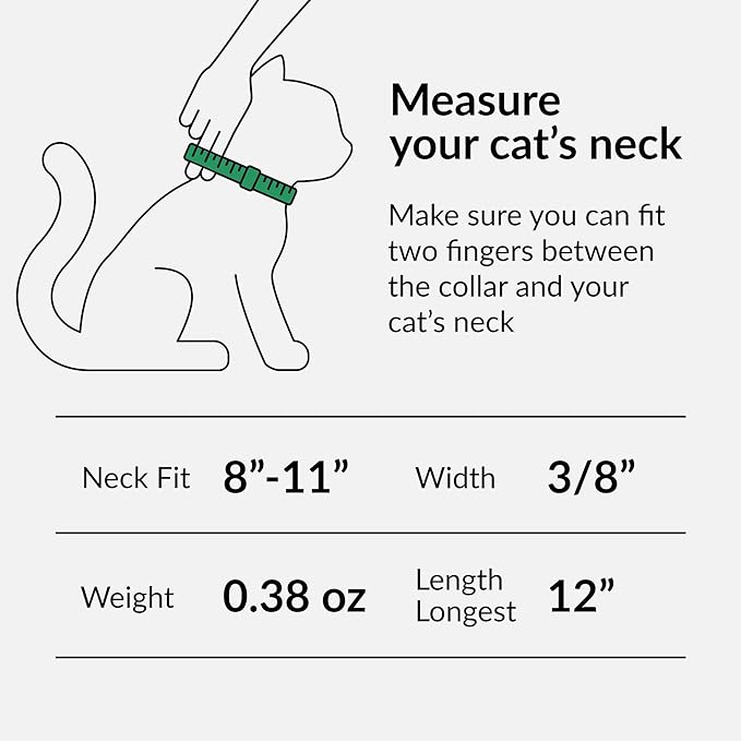 CollarDirect Leather Cat Collar, Kitten Collar with Removable Bell Black Blue Red Orange Lime Green (8-11 Inch, Light Blue)
