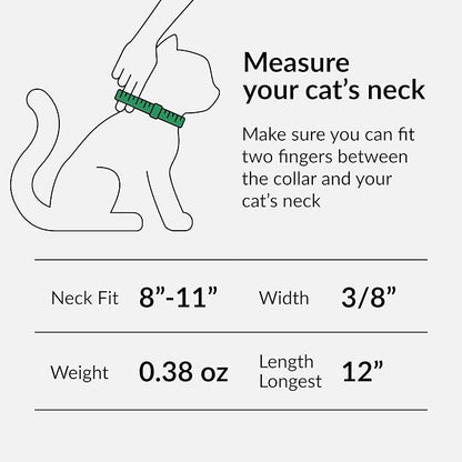 CollarDirect Leather Cat Collar, Kitten Collar with Removable Bell Black Blue Red Orange Lime Green (8-11 Inch, Light Blue)