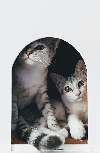 Disposable Litter Boxes for Kittens - Multi-Value (15 Pack), Kitten, Rabbit, and Senior Cat, Shallow, Small, Sanitary Must-Have 16.5 x 12.5 x 2 in.