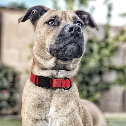 Dogline Biothane Waterproof Dog Collar with Quick Release Buckle Strong Coated Nylon Webbing with Odor- Proof for Easy Care Easy to Clean Fits Small Medium or Large Dogs, Red 1" W 15-23" L