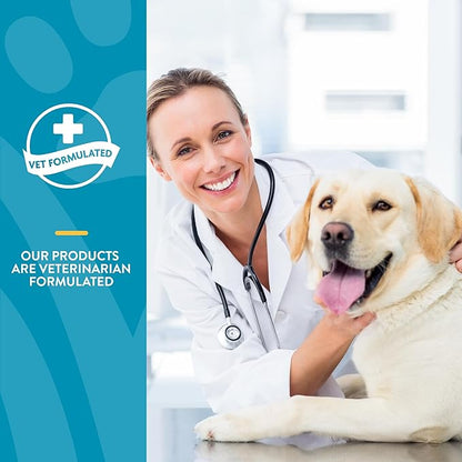NaturVet Quiet Moments Calming Dog Supplement, Dog Soft Chews with Melatonin to Help Reduce Stress from Storms, the Vet, Fireworks, and Travel, Bacon and Chicken Flavored Pet Supplement, 180 Count Jar