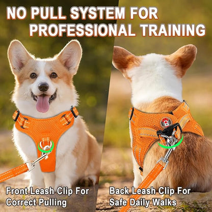 Dog Harness Step in Dog Vest Harness, Reflective Adjustable Puppy No Pull Harness Breathable Soft for Small and Medium Dogs Cats, Orange, XXS