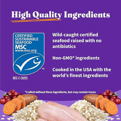 Halo Holistic Cat Food Wild Caught Salmon & Whitefish Formula, Healthy Grains Dry Cat Food, For Sensitive Stomach Support, Kibble for Adult Cats, 10 lb Bag