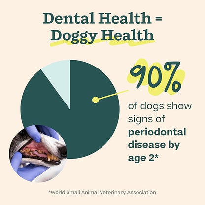 WOOF Dental Kit- Includes Pupsicle Dog Toy, Treat Tray, Shaker Bottle, Chicken Pupsicle Pops, and Dog Teeth Cleaning Powder - Supports Oral Health for Dogs - Small