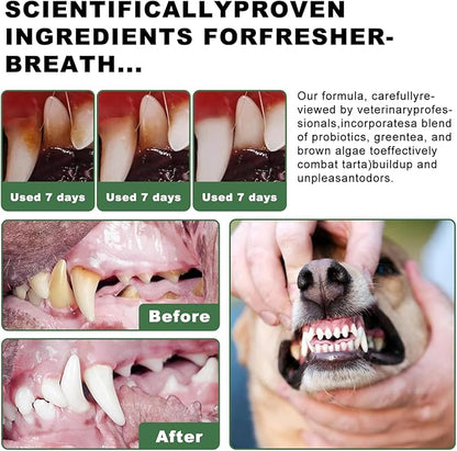 Dog Dental Powder, 6 oz, Dog Teeth Cleaning Powder & Cat Breath Freshener, Plaque Off Pet Tooth Cleaning - Combating Dental Plaque, Tartar Cleaning and Removal, Fighting Bad Breath, Oral Care