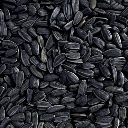 Nyjer Seed & Sunflower Seeds Wild Bird Food Combo - 5 Pound Pack I No Grow Seed I Bird Food for Wild Birds