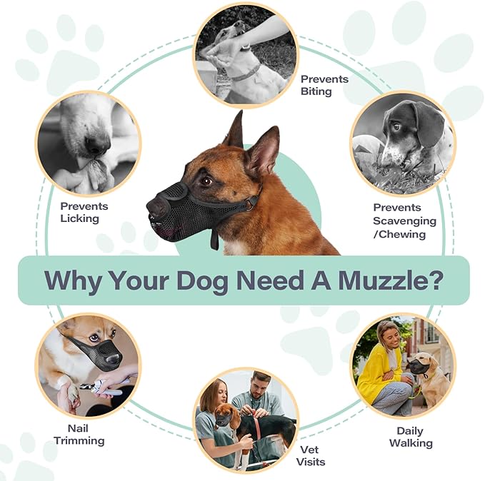 LUCKYPAW Dog Muzzle for Large Medium Small Dogs, Patented Mesh Muzzle to Prevent Biting Chewing Eating, Soft Mouth Guard with Front Opening Design for Drinking Panting(Black, M)