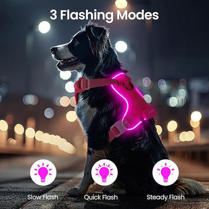 Light Up Dog Harness,Reflective Pet Harness Rechargeable,Led Dog Vest Harness for Night Walking,Adjustable Dog Safety Vest for Small Medium Large Dogs-No Pull,Pink,M