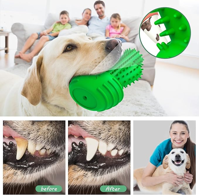 Dog Dental Chew Toy with Toothbrush Bristles – Squeaky Stick for Aggressive Chewers