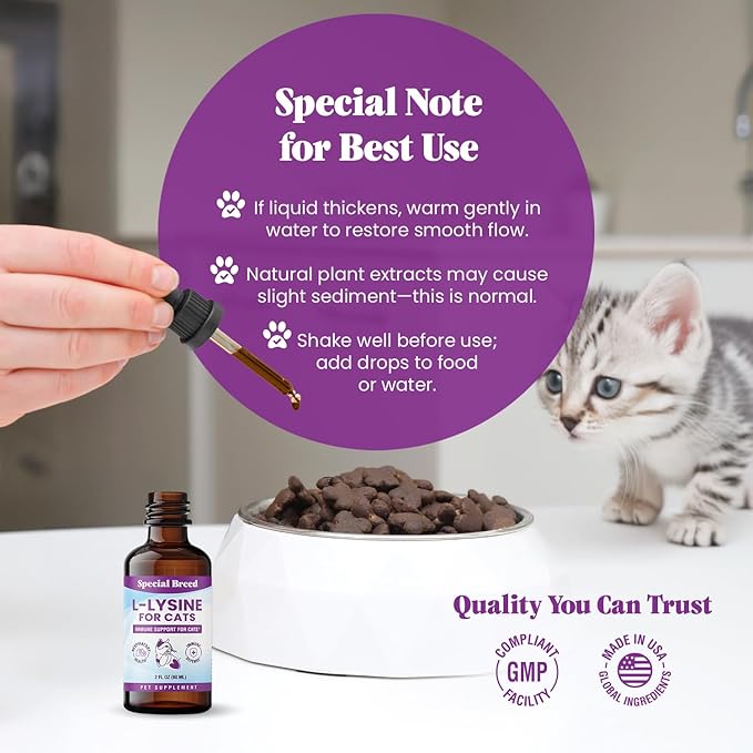 Special Breed L-Lysine for Cats & Kittens – Immune, Respiratory & Eye Health Support – Liquid Cat Supplement with Astragalus, Burdock, Atractylodes, Dangshen & Vitamins A, B1, B2, B6 – 2oz (60mL)