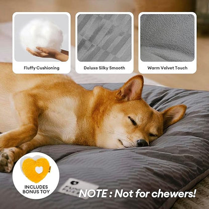 FUNNY FUZZY 30x20 Washable Dog Bed Crate Mat, 2 in1 Pet Pillow Sleeping Bed, Fluffy Deluxe Kennel Mattress for Medium Dog and Cat,Charcoal Grey,M