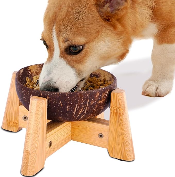 Raised Dog Bowl for Small Dog - Elevated, Ants-Off Stand, Real Coco Bowl, Height 5-inch, 33-oz Dish Capacity - Coconut/Bamboo Natural Calming Effect