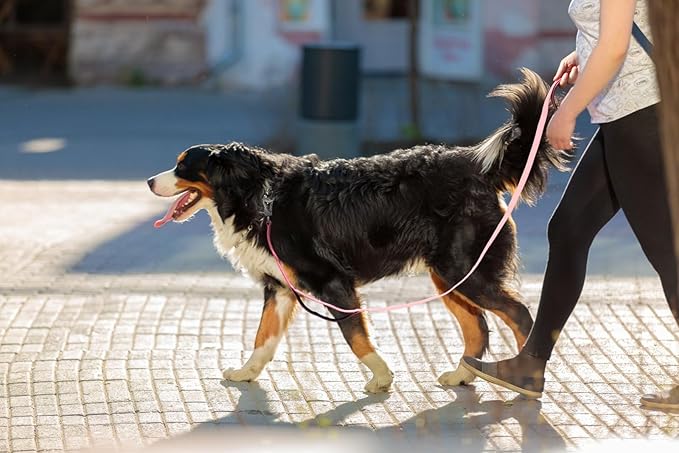 TwoEar 4FT 1IN Strong Pink Dog Leash with 2 Padded Handles, Traffic Handle Extra Control, Comfortable Soft Dual Handle, Auto Lock Hook, Reflective Walking Lead for Small Medium and Large Dogs