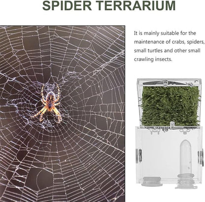 balacoo 8 Sets Jumping Spider Enclosure: Spider Cage Habitat Jumping Terrarium Micro Scorpion Droppers Reptile Hide Clear Enclosure Breeding Box Case with Breeding Tweezers