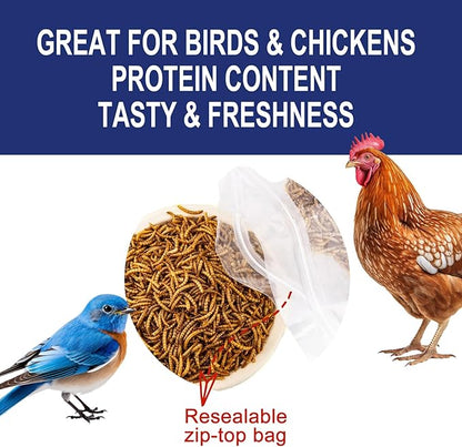RANZ 10LBS Non-GMO Dried Mealworms for Chickens, High Protein Meal Worms, Premium Chicken Feed, Perfect Bird Food and Chicken Treats, Whole Large Mealworms for Wild Birds, Ducks, Fish
