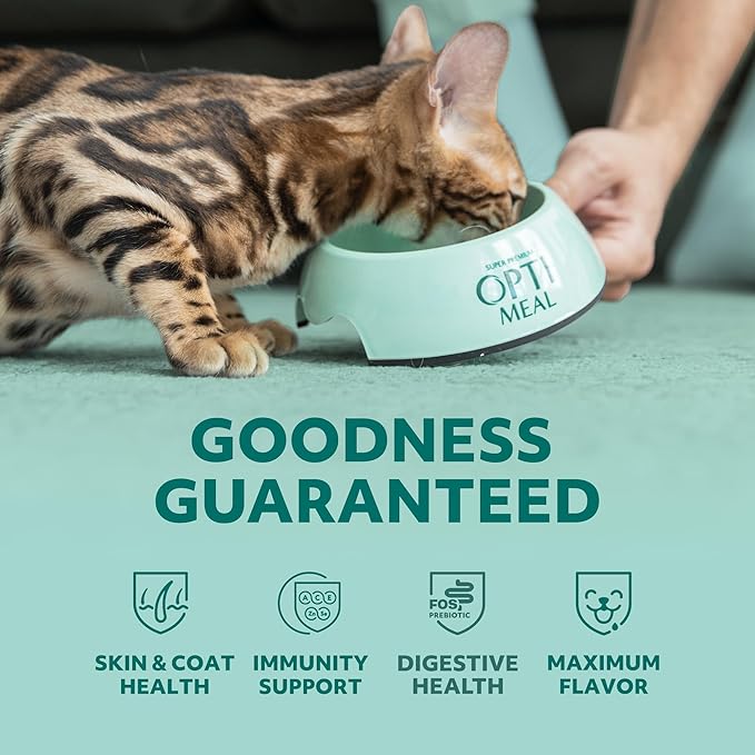 Optimeal Grain-Free Wet Cat Food – Beef & Rabbit Recipe, High Protein & Moisture Rich Indoor Adult Cats Food, Tender Morsels in Savory Gravy Natural Ingredients - 3 oz Pouches, 12 Pack
