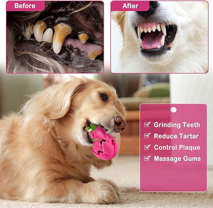 AUSCAT Pitaya Treat Dispensing Dog Toy – Rubber Puzzle Toy for Aggressive Chewers