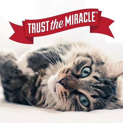 Nature's Miracle Urine Destroyer Plus for Cats, Enzymatic Formula for Severe Cat Urine Stains, 1 Gal