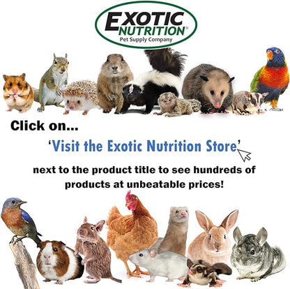 Flower Fusion Treat - Healthy Natural Dried Flower Herbivore Treat - Chinchillas, Guinea Pigs, Rabbits, Prairie Dogs, Degus, Hamsters, Rats, Squirrels, Sugar Gliders & Other Small Pets (0.85 oz)