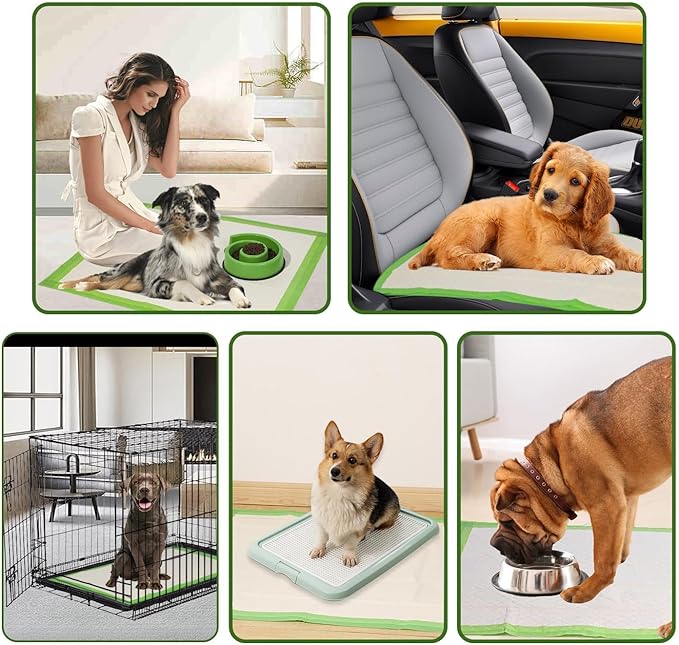 Gardner Pet Dog Pee Pads Extra Large 28"x34", XL Thicker ECO Green Disposable Puppy Training Pads Super Absorbent Full Edge-Wrapping Pad for Dogs, Puppies, Cats, Rabbits (50 Count)