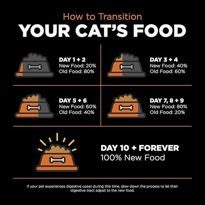 Go! Solutions Skin + Coat Care, Grain-Free Dry Cat Food, Salmon Recipe, 8 lb Bag