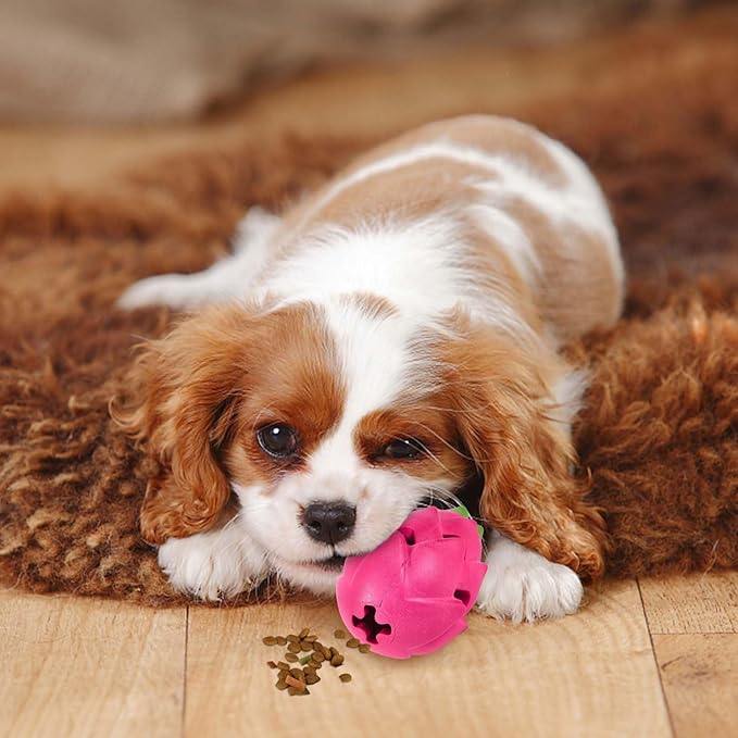 AUSCAT Pitaya Treat Dispensing Dog Toy – Rubber Puzzle Toy for Aggressive Chewers