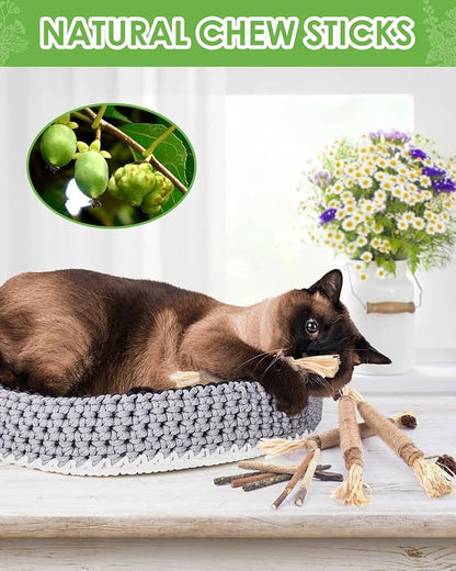 Silvervine Chew Sticks for Cats, 10 Pack Natural Catnip Chew Toys for Kittens Teeth Cleaning, Matatabi Dental Care, Increase Appetite, Calm Cat Anxiety and Stress, Aggressive Chewers Cat Dental Toy