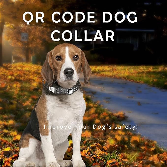 Reflective Dog Collar with Apple AirTag Holder & QR Code Pet ID Tag,Soft Nylon Adjustable Dog Tracker Collar with Safety Lock for Small Dogs(Black, S)