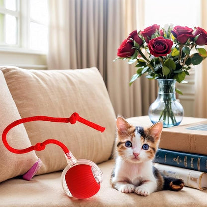 Electric Cat Toy - Automatic Rolling cat Toy with Motion sensors, Designed for Indoor Cats, Suitable for Solo Play (USB Rechargeable) (Greener)