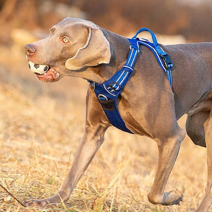 TRUE LOVE Dog Harness No Pull Nylon Reflective Pet Harness Adjustable Comfortable Control Step-in Brilliant Colors Truelove TLH56512 Royal Blue