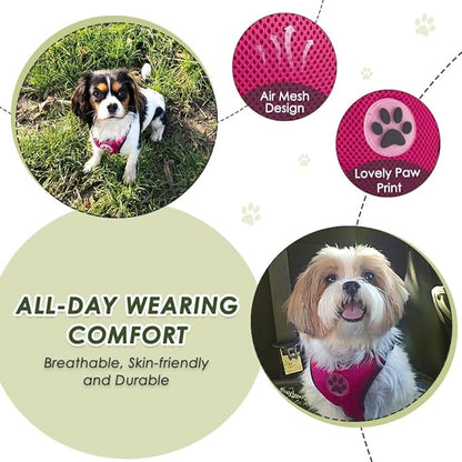 SlowTon Dog Seat Belt Harness for Car, Dog Car Harness Adjustable Mesh Breathable & Dog Seatbelt Safety Tether with Elastic Bungee for Small Medium Large Pets(Fuchsia, Double Clip, M)