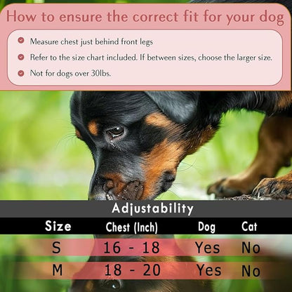 Comfort Fit Dog Harness Soft Padded No Pull Harness with Adjustable Buckles for Small Medium Large Dogs Step in Pet Vest with Easy Control Handle for Walking Jogging Running Training Dogs & Puppies