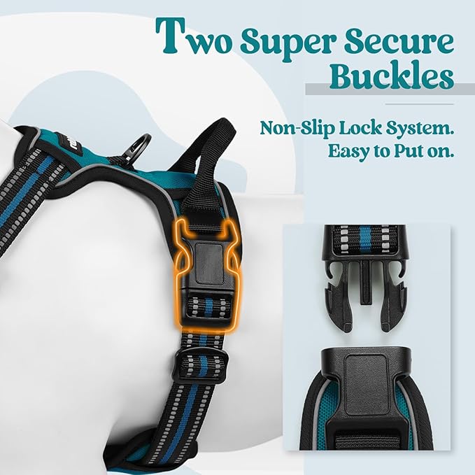 rabbitgoo Dog Harness No Pull with 2 Leash Clips, Adjustable Soft Padded, Reflective Oxford No Choke Pet Vest with Easy Control Handle for Small Dogs, Blue Coral, S