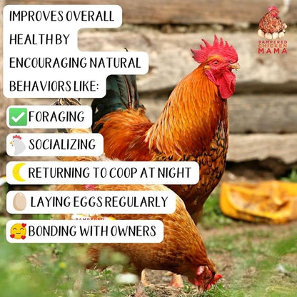 Organic Kelp for Chickens & Duck Feed (1 Pound): Chicken Vitamins | Chicken Supplements | Vitamins for Chickens | Pampered Chicken Mama