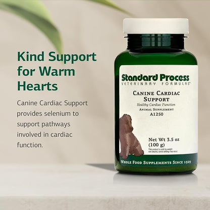Standard Process Inc. Canine Cardiac Support - Dog Heart Health Supplement - Nutritional Formula to Support Cardiac Function - Pet Health Supplement with Selenium - 100 g