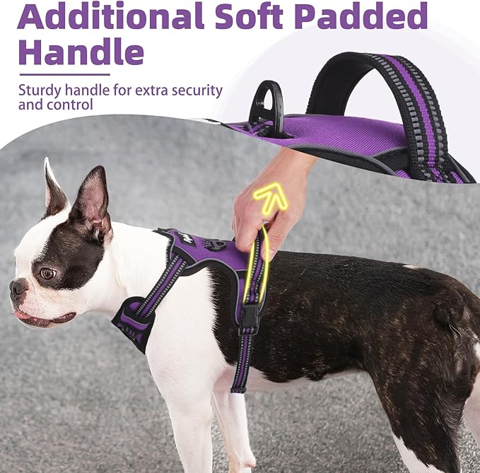 PUPTECK No Pull Dog Harness Small Sized, Adjustable Reflective Dog Harness with Handle Easy Control, Comfortable Soft Padded Pet Vest Harness for Small Dogs, Solid Purple S
