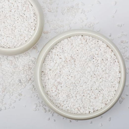 1/5 Inch White Succulent Cactus Gravel, 10 lbs – Ideal for Succulent Plant Pots, Vase Fillers, Glass Containers, Aquariums, Patios, and Outdoor Gardening River Stones (White, 10 Pounds)