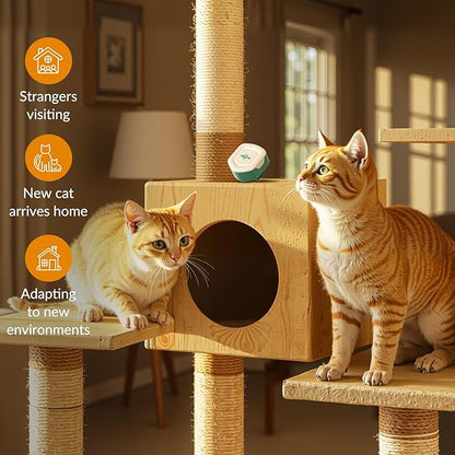 Cat Calming Diffuser for Travel – Pheromone Diffuser for Cats & Kittens to Reduce Anxiety and Stress-Related Behaviors, No Electricity Needed, Long-Lasting Enhanced Calming Aid (2 Pack)